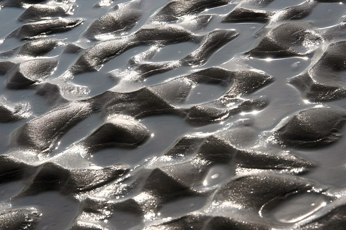 TP32166: Reflecties op een modderige ondergrond