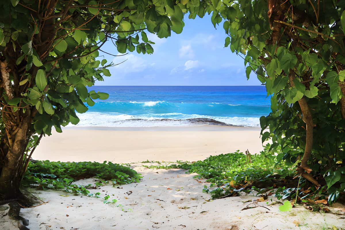 Uitzicht op een tropisch strand