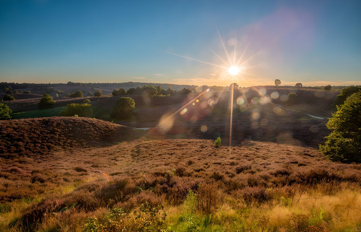 Zonsopgang boven paarse heidevelden