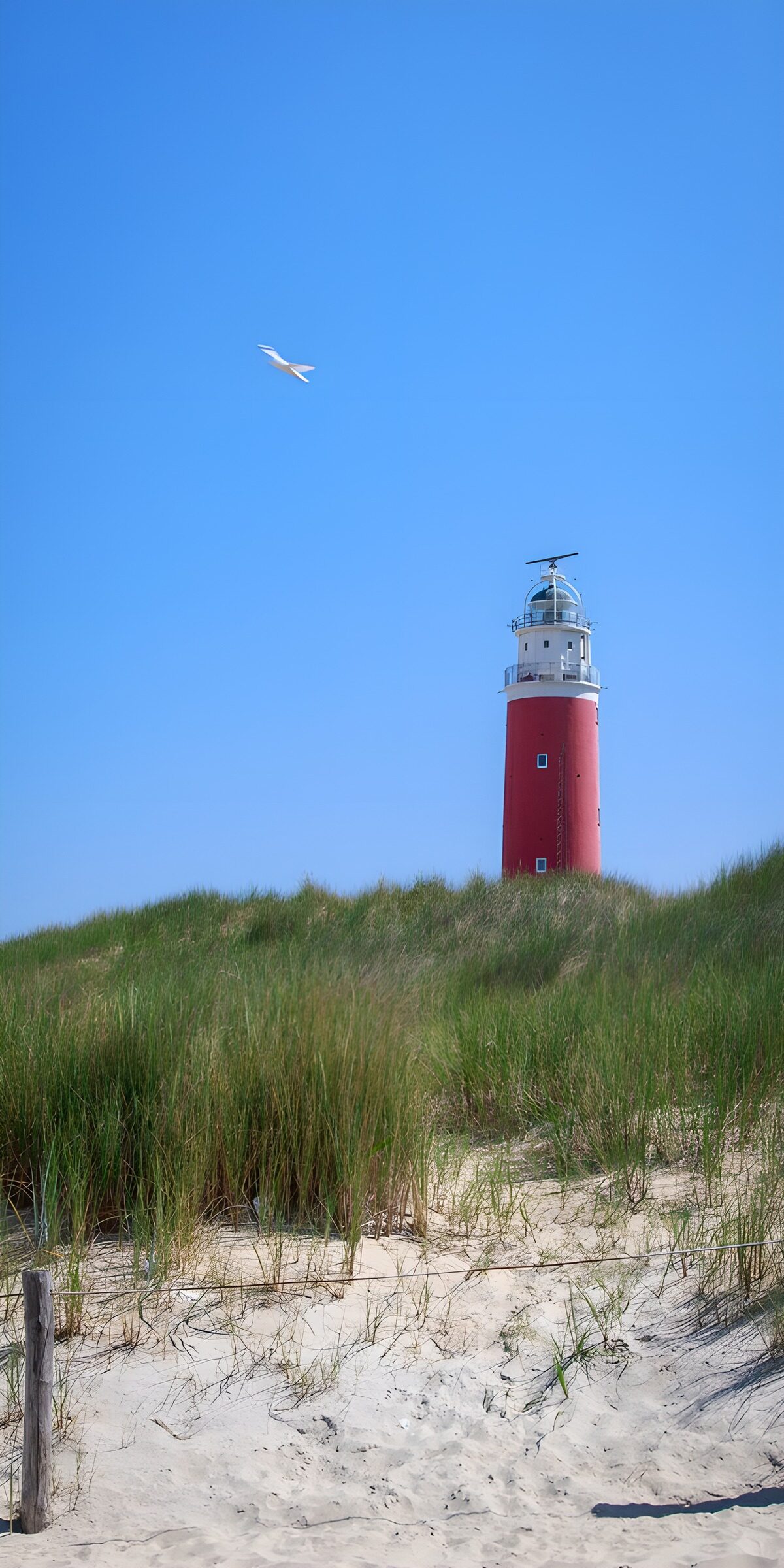 TP78252: Vuurtoren bij het strand