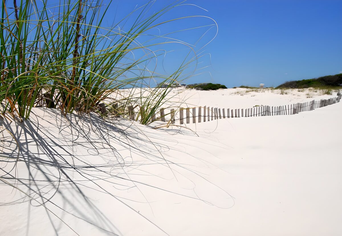 TP11830: Houten hekwerk bij strand met helmgras 2