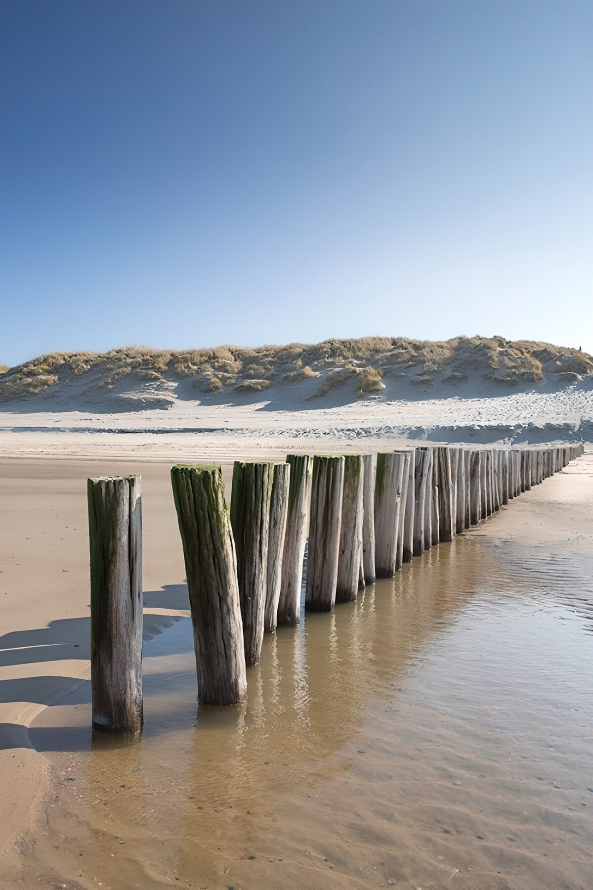 Zeeuwse strandpalen