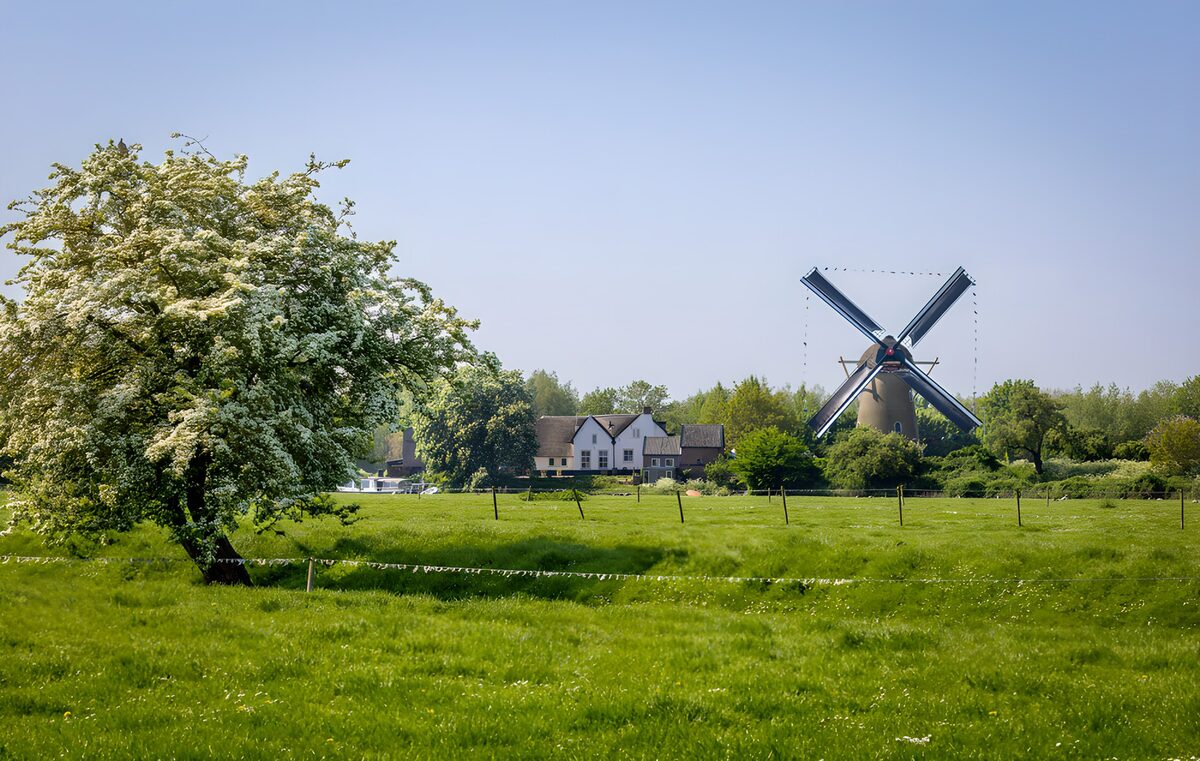 Pittoresk landschap met molen en bloesem