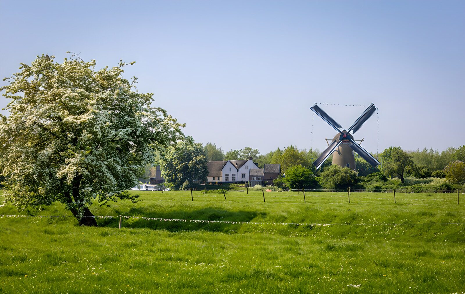TP21444: Pittoresk landschap met molen en bloesem