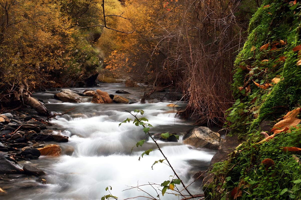 Stromend Water Tussen de Herfstkleuren