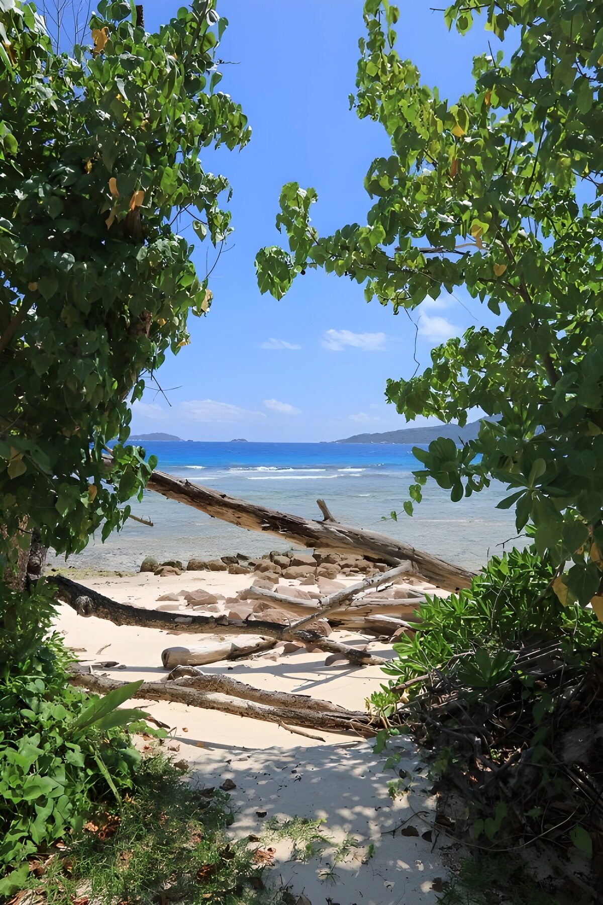 TP49598: Uitzicht op paradijselijk strand