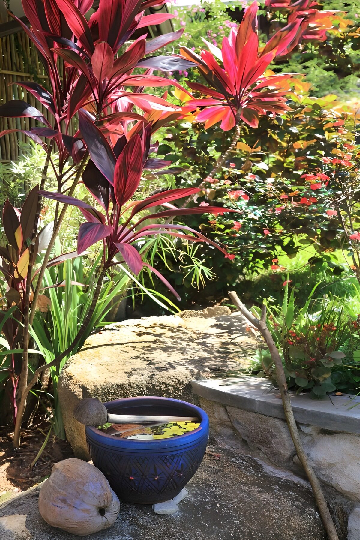 TP46207: Kleurrijke Tuin met Vaas en Planten