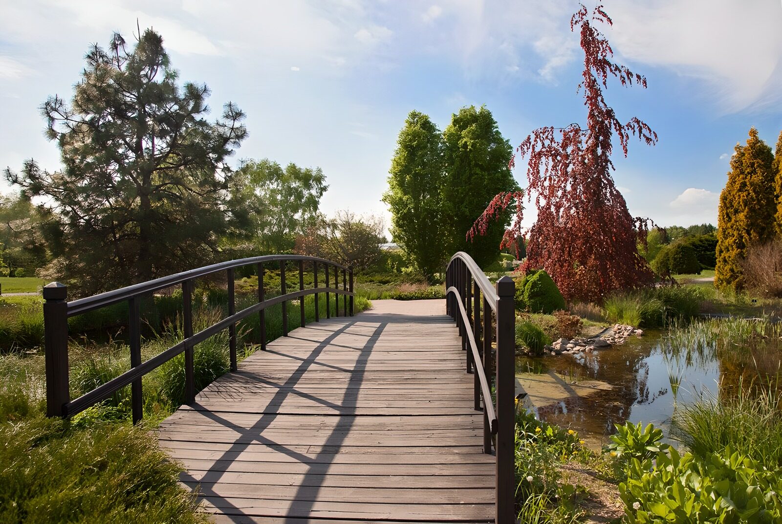TP52583: Brug overgang door park