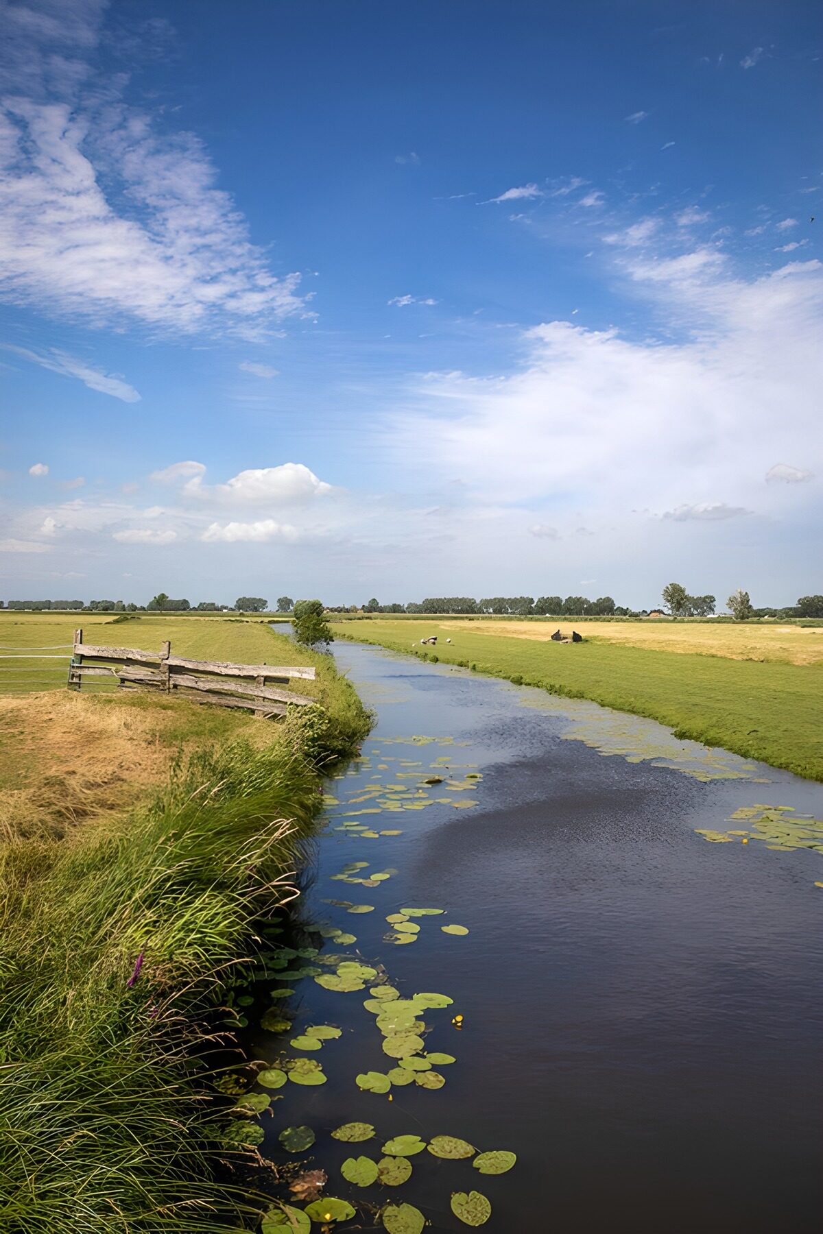 TP84163: Rustige Nederlandse waterlandschap