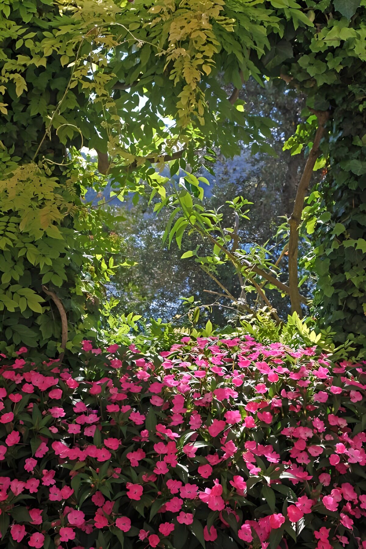 Bloemenvenster omringd door groen
