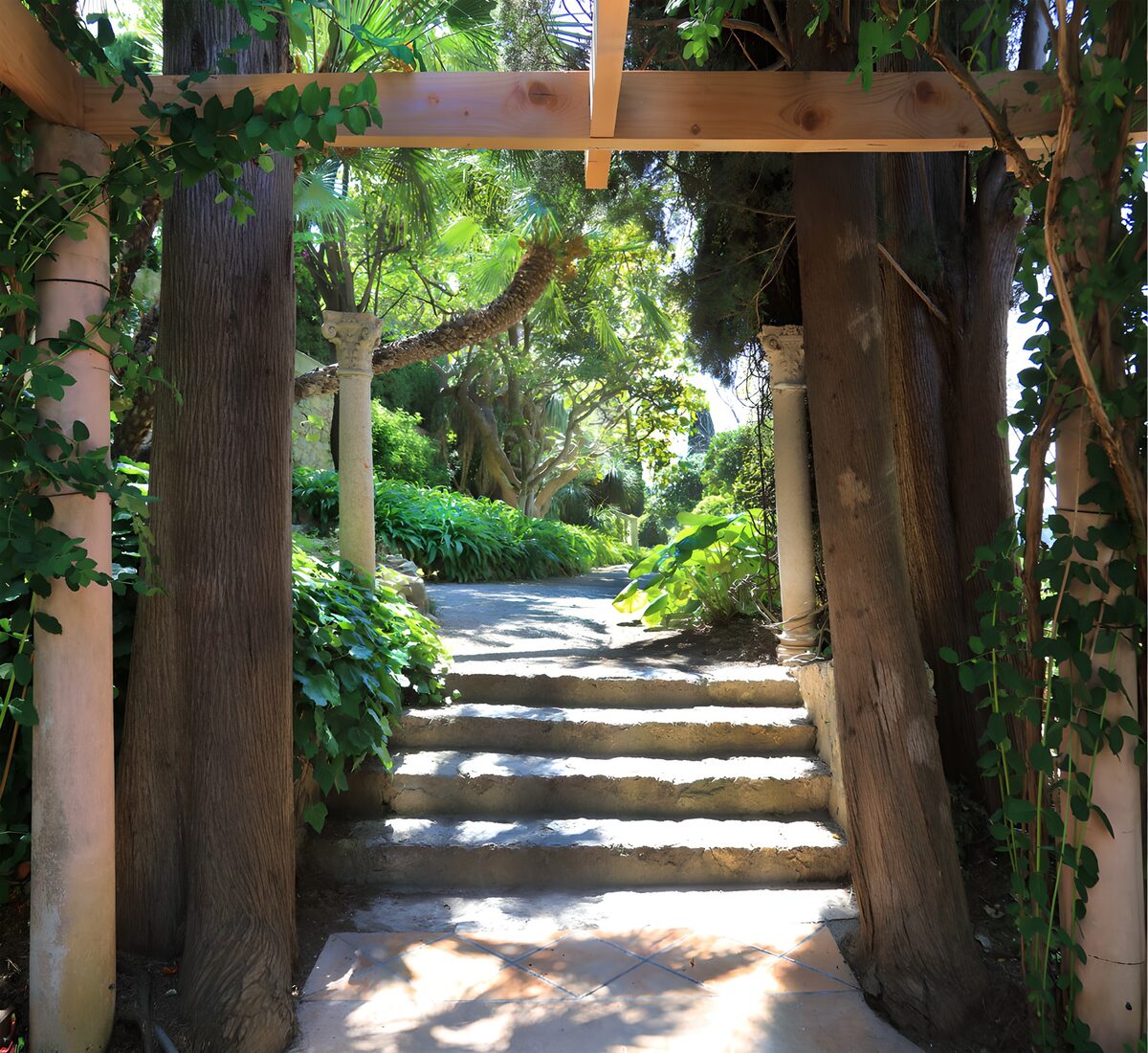 TP53788: Pergola begroeid met klimplanten met trap naar Japanse tuin