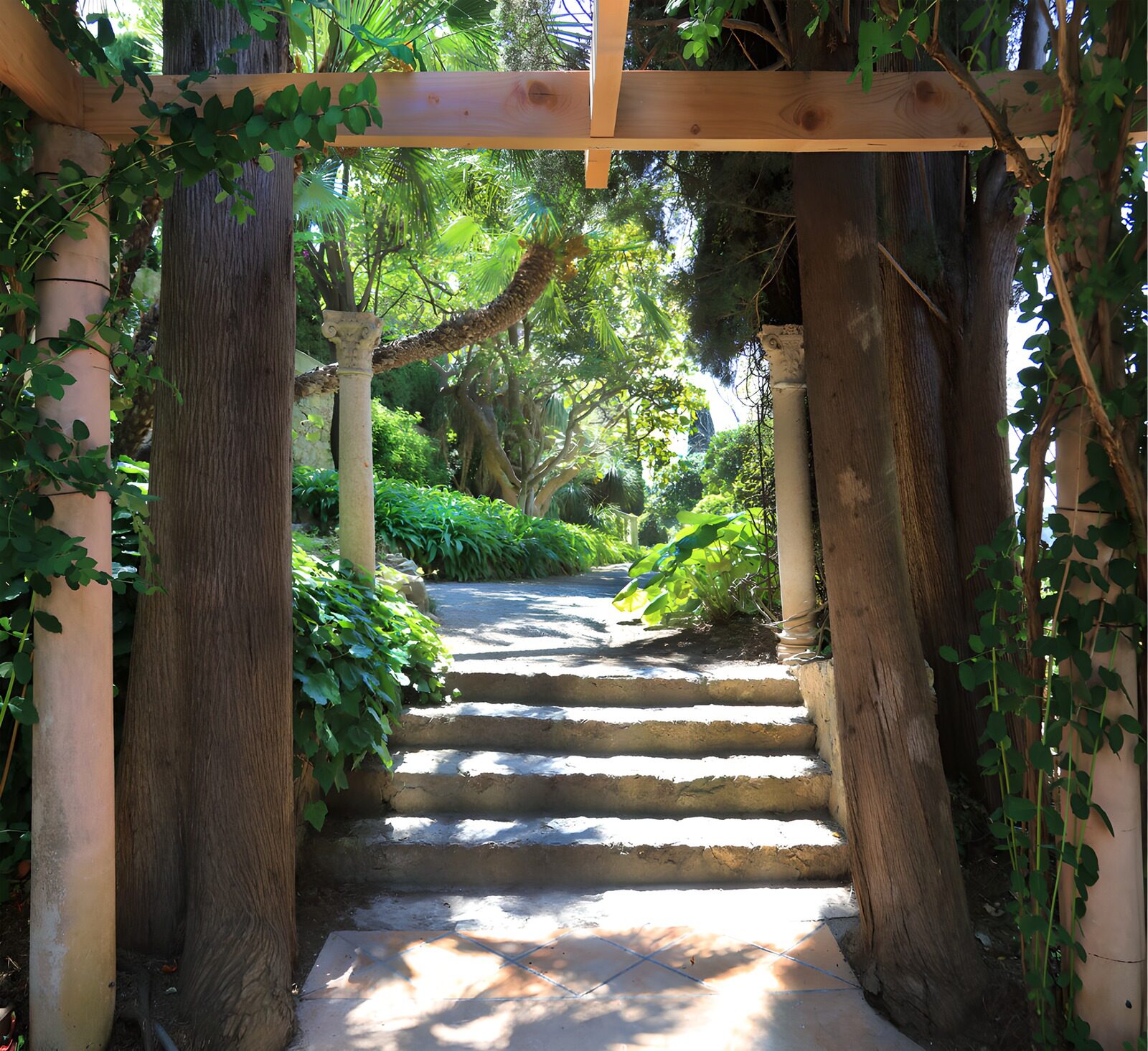 TP53788: Pergola begroeid met klimplanten met trap naar Japanse tuin