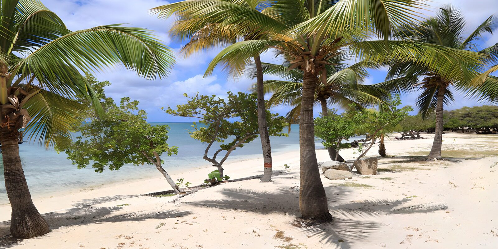 TP24387: Tropisch strand met Palmbomen
