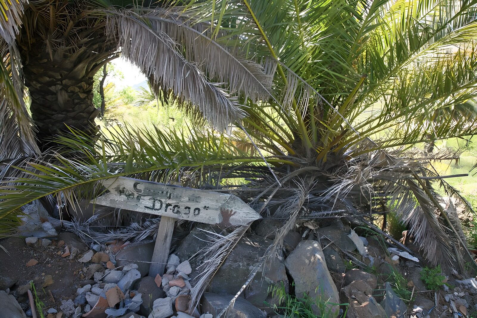 TP85752: La Gomera 34