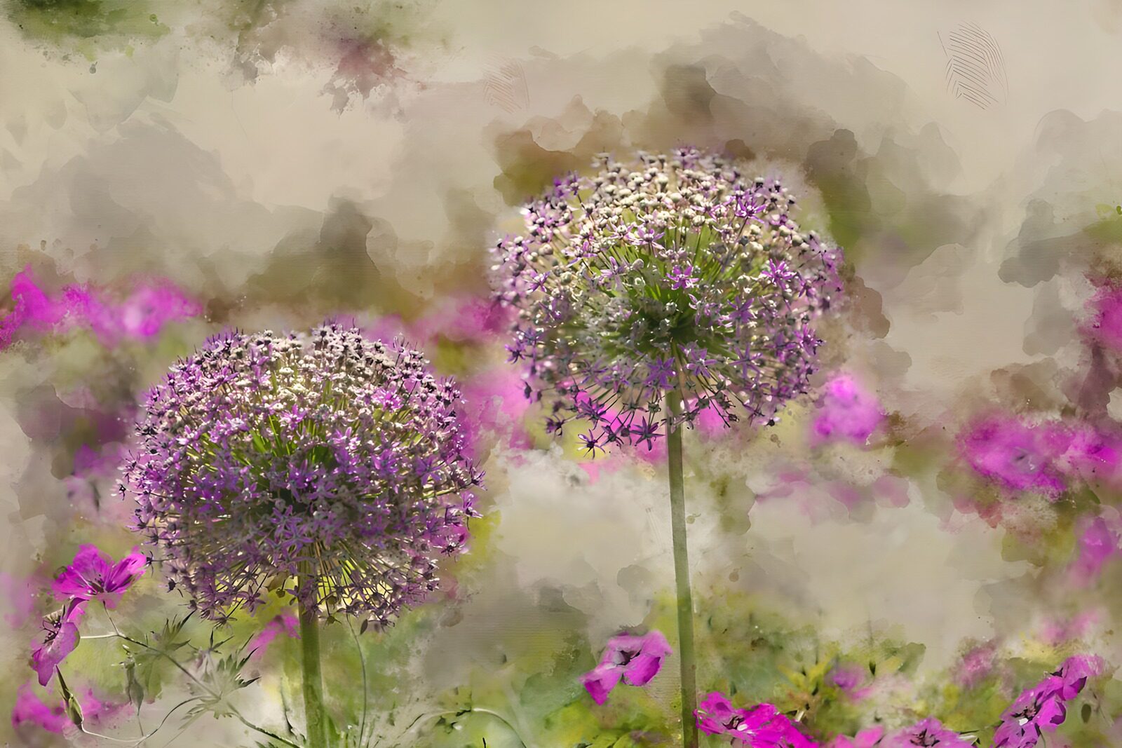 TP98769: Prachtige paarse bloemen in bloei