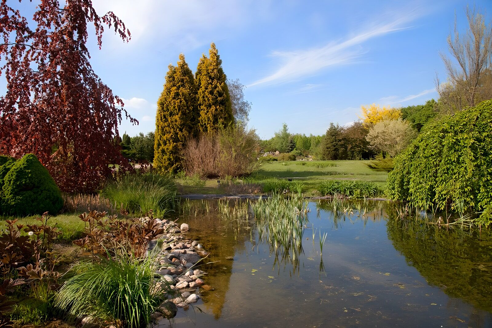 TP93226: Rustige tuin met vijver en bomen