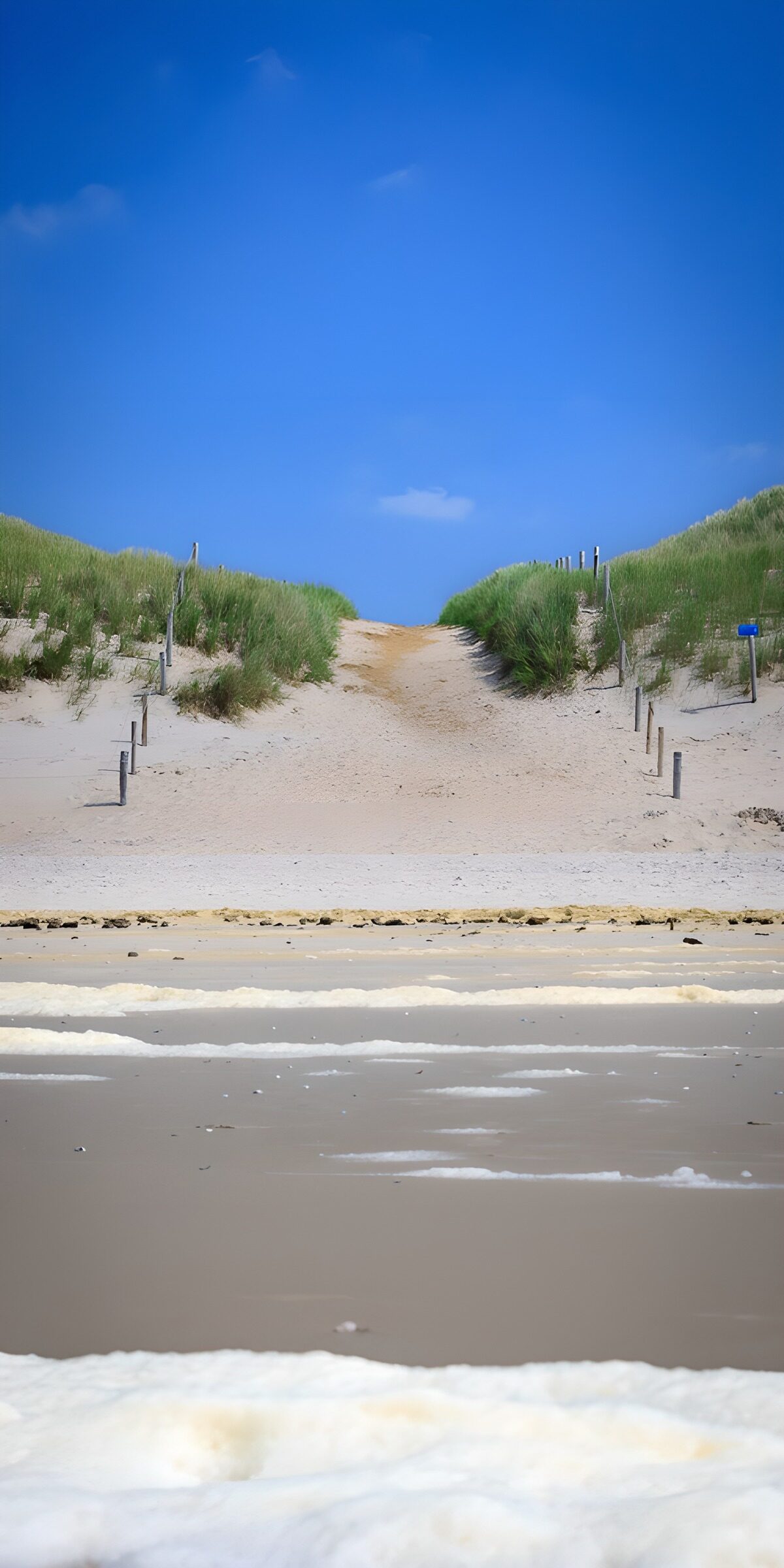 Pad door de duinen