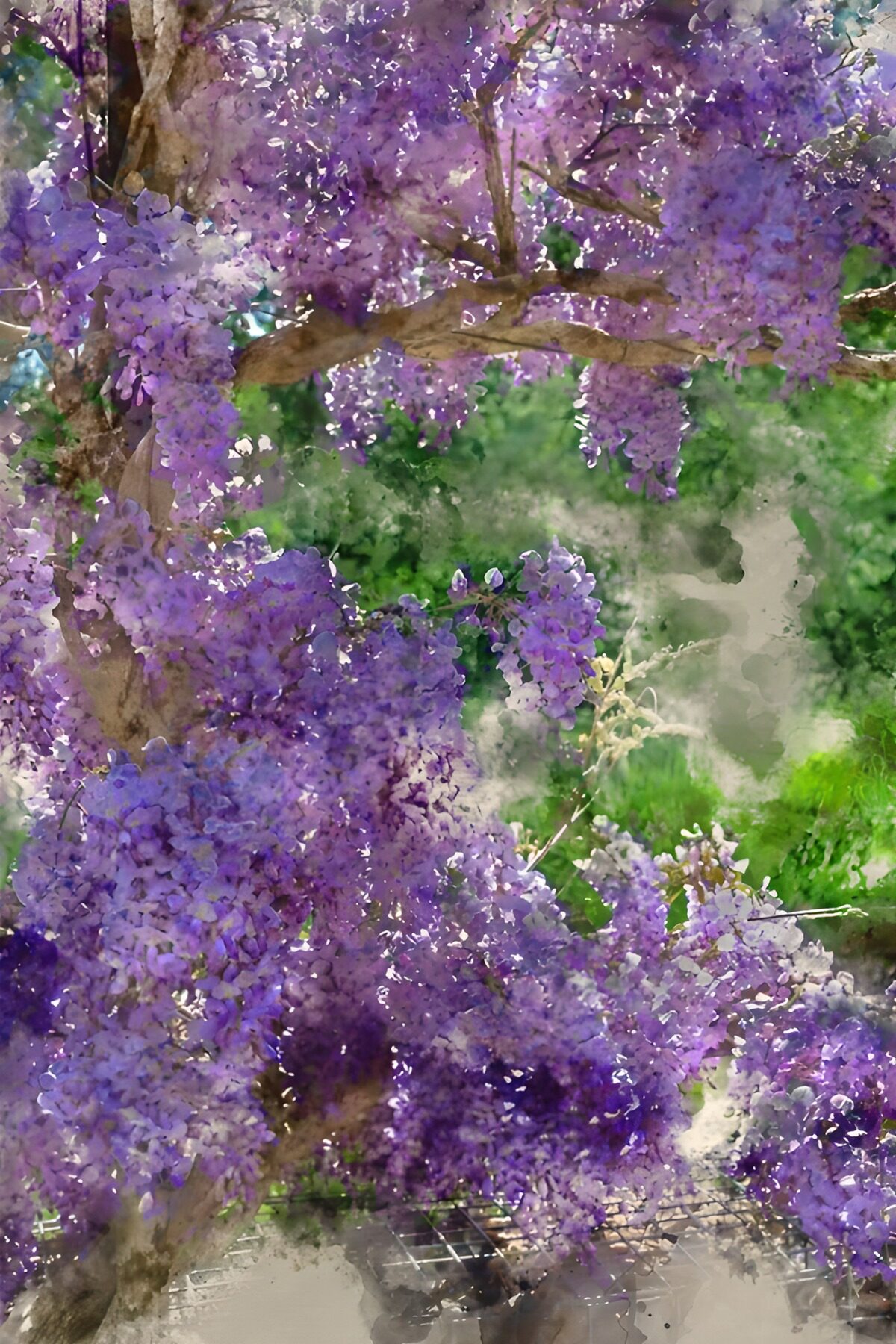 TP55931: Prachtige paarse bloesems van een wisteria