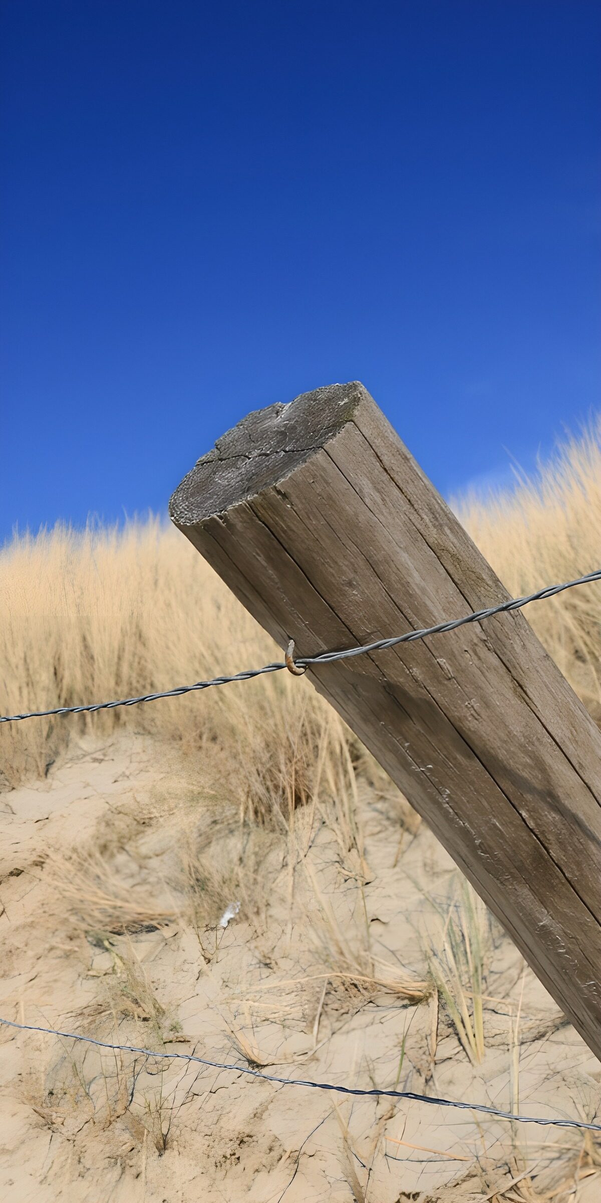 TP96422: Houten paal bij de duinen