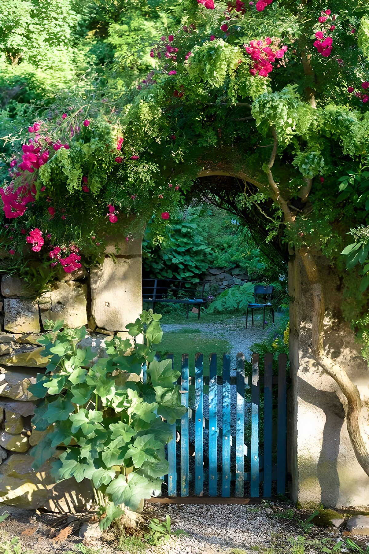 Poort met blauw hekje begroeid met Bouigainville