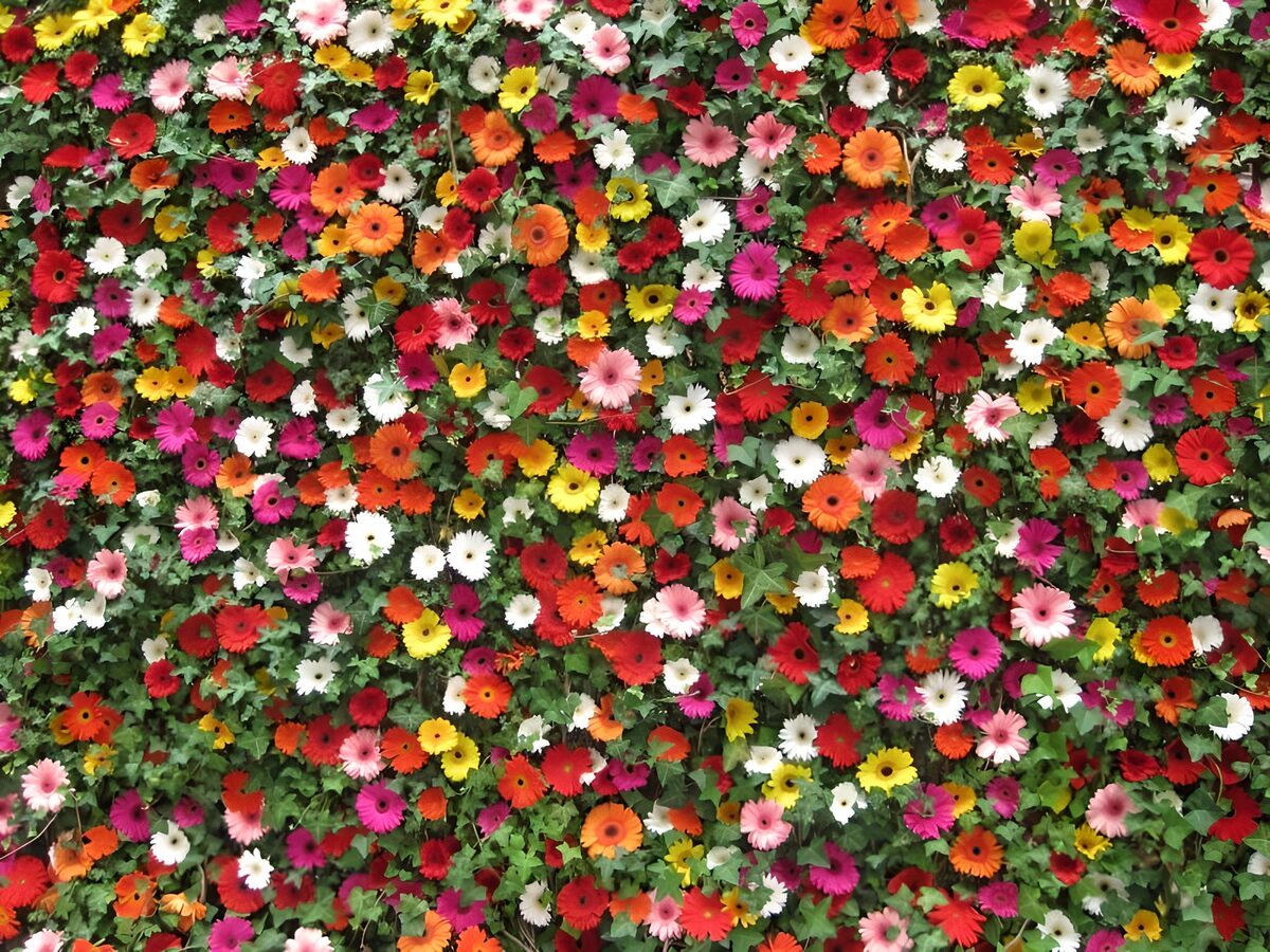Muur met bloemen