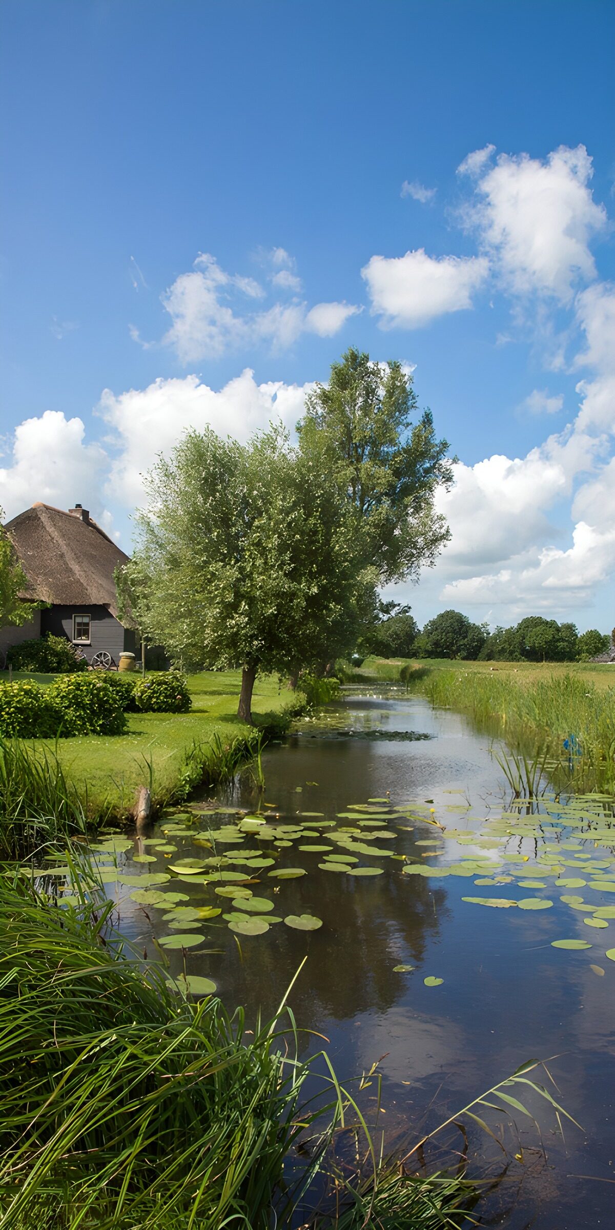 TP31615: Prachtig landschap met sloot en huis