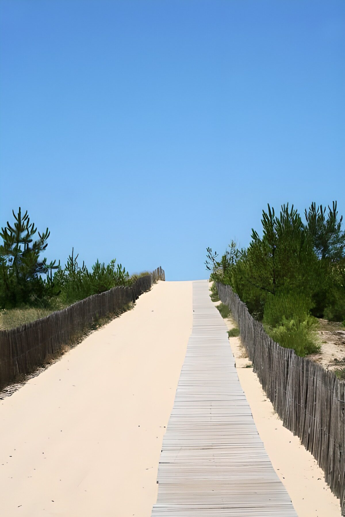 TP10394: Houten flonderpad naar zee