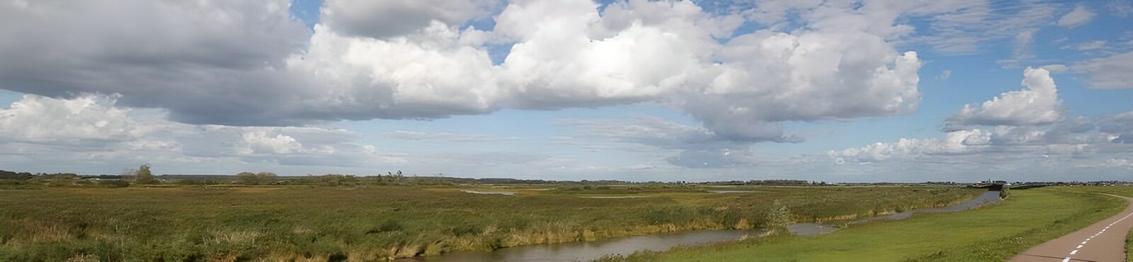 TP60920: Hollandse polderlandschappen zeewolde 1