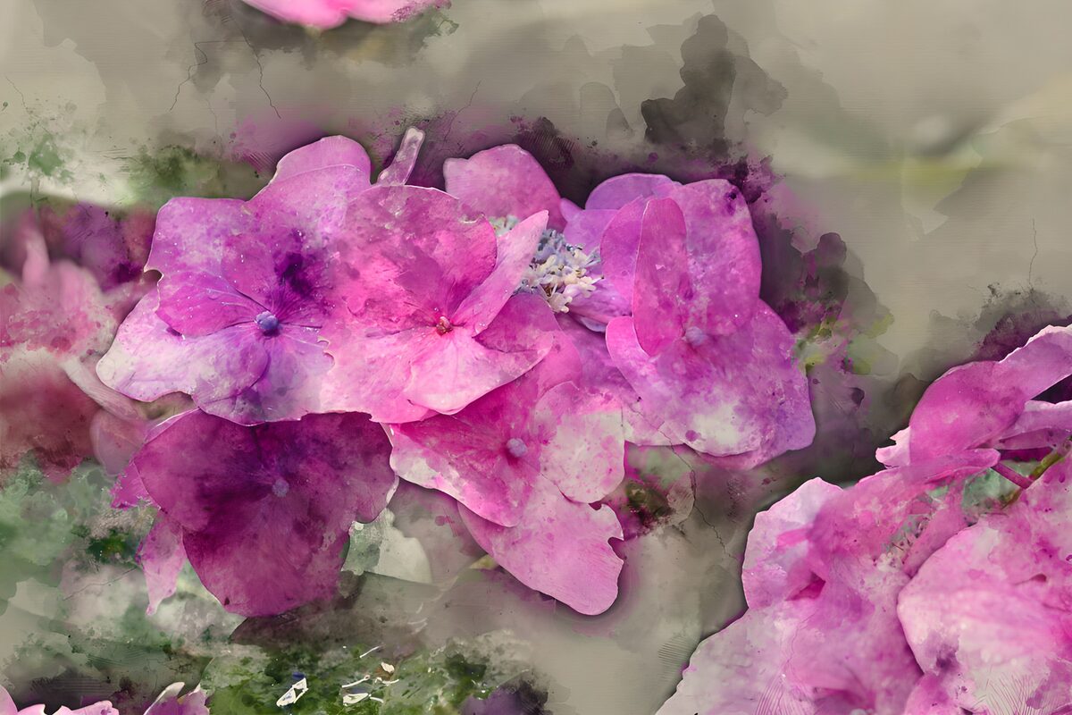 Prachtige Roze Bloemen in Aquarel