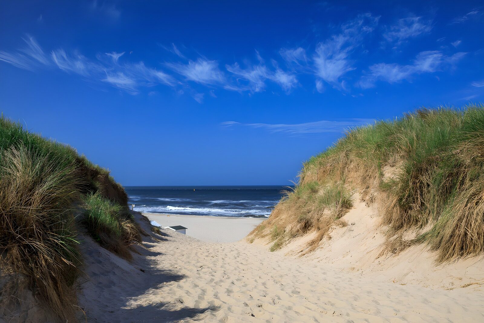TP10532: Weg naar het strand onder een blauwe lucht
