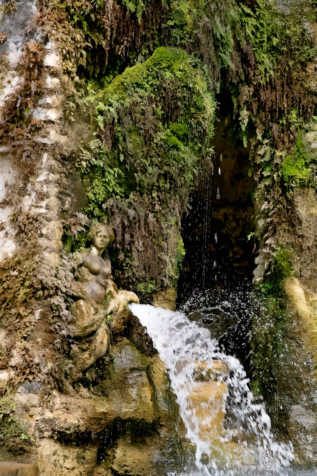 TP14612: Mystieke Fontein in Weelderige Natuur