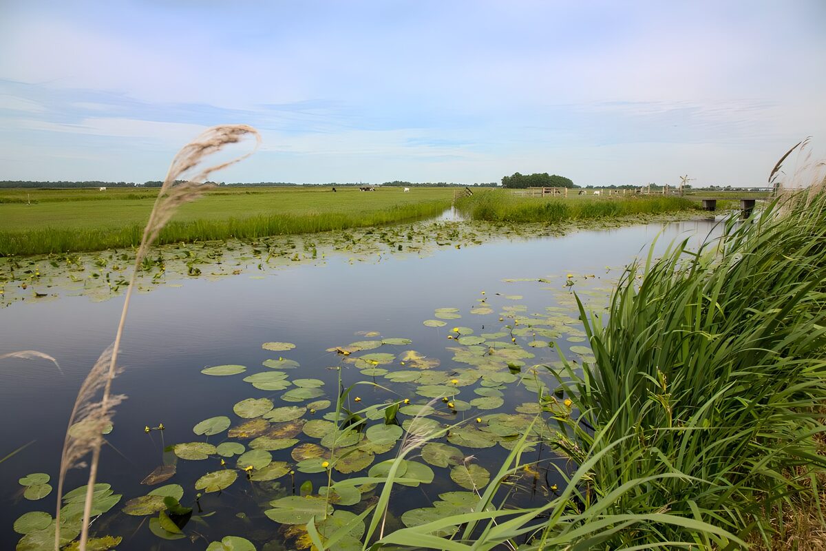 TP58935: Uitzicht op vaart