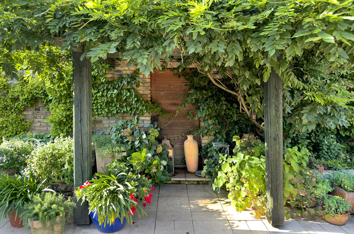 Groene tuin met pergola