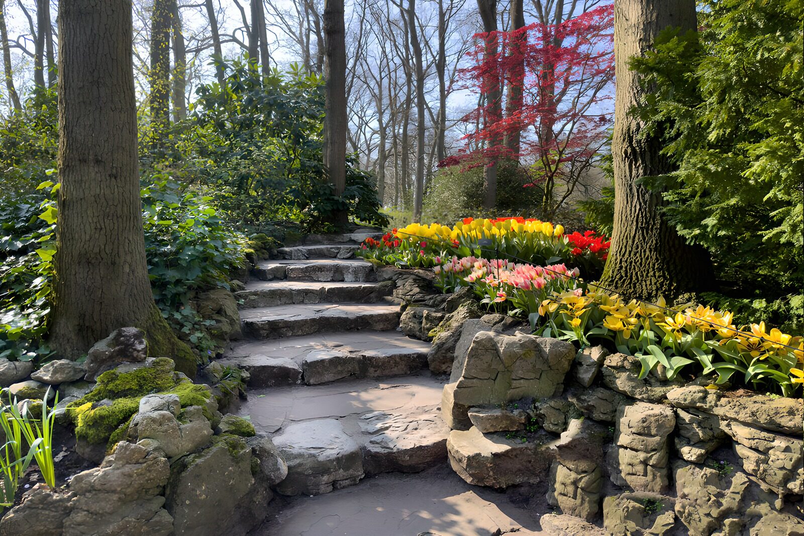 TP73804: Kleurrijke Tuin met Stappenpad