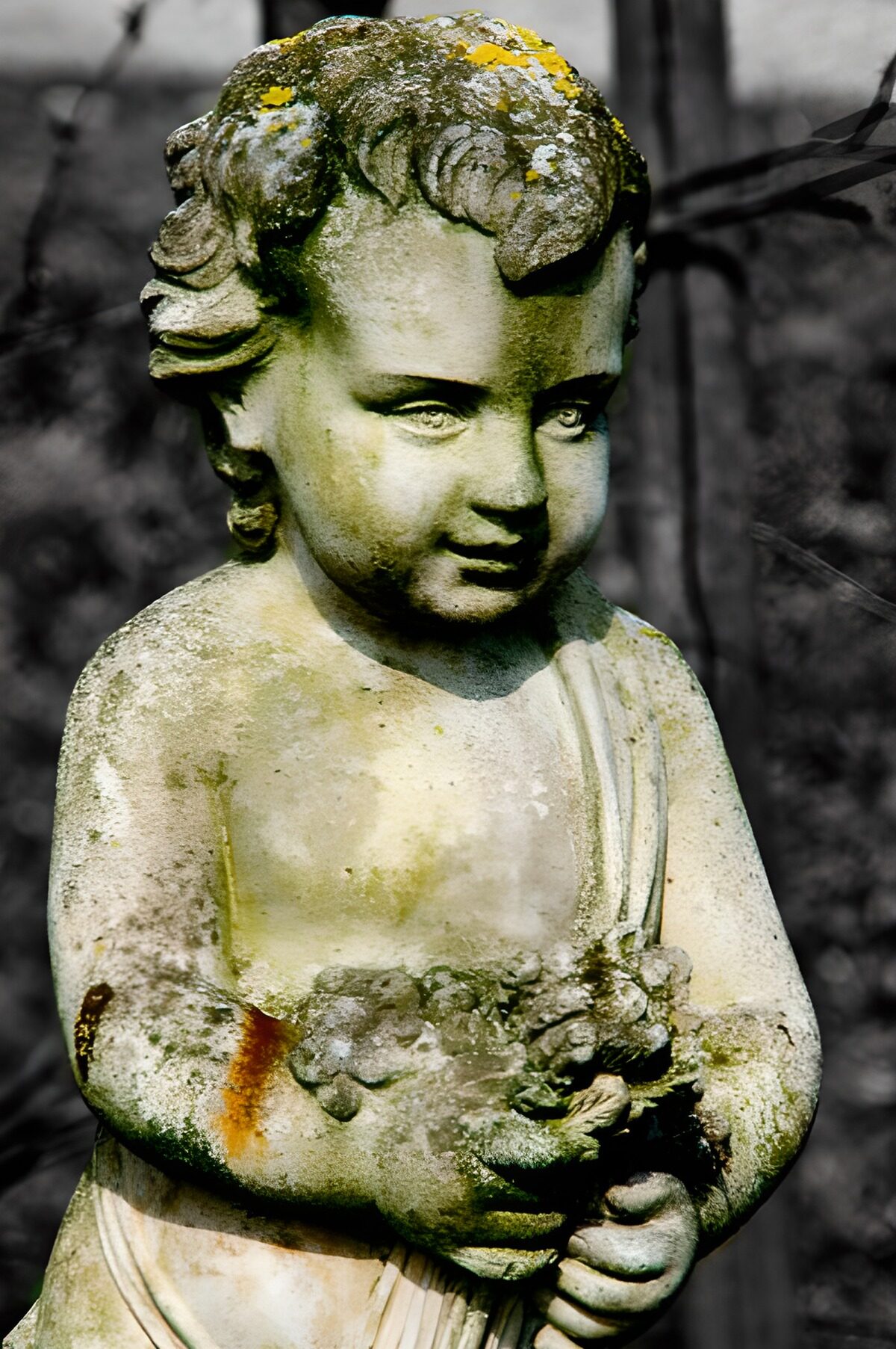 TP41289: Kinderbeeld met druiven