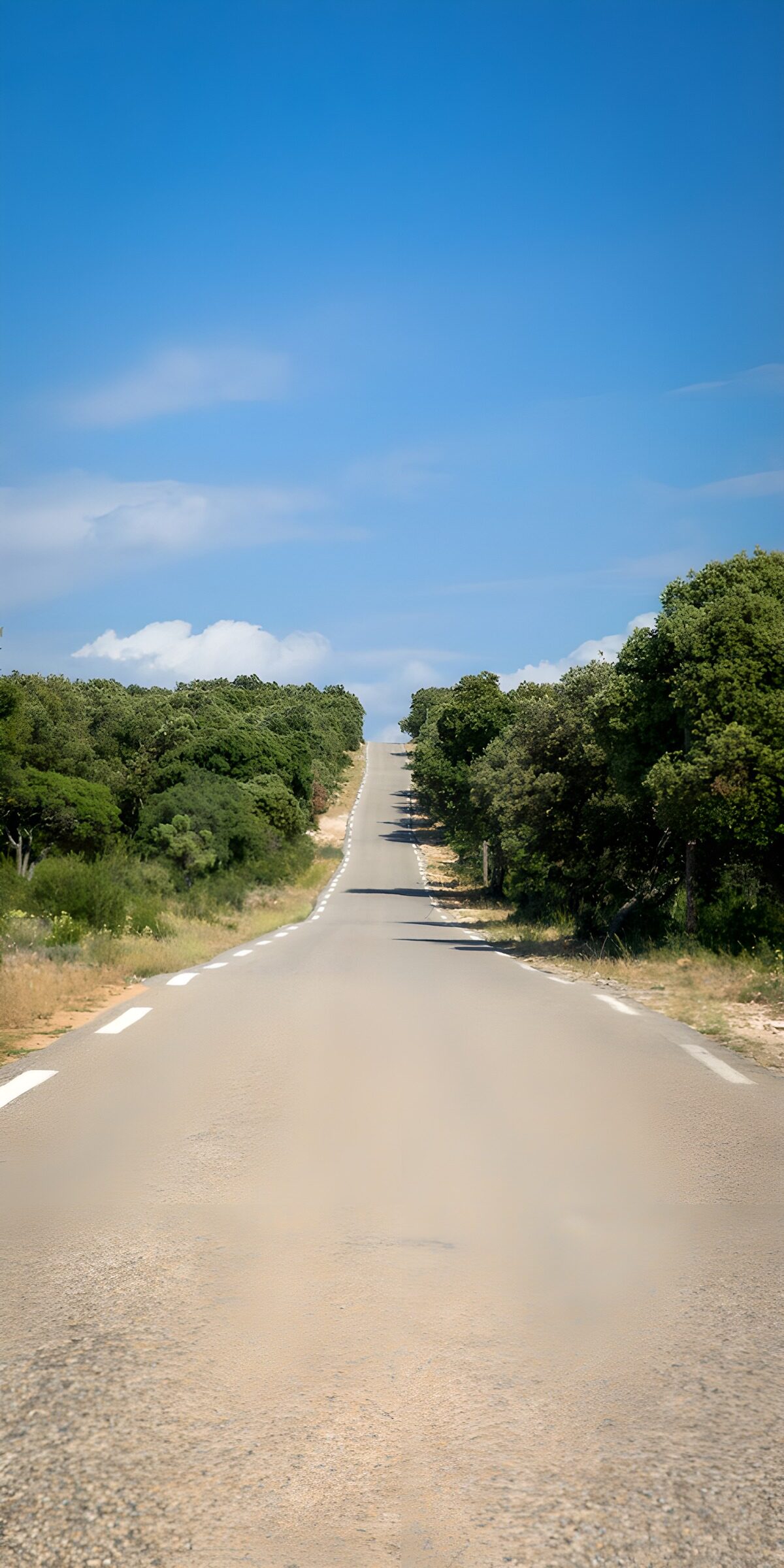 TP50032: Lange weg door groene natuur