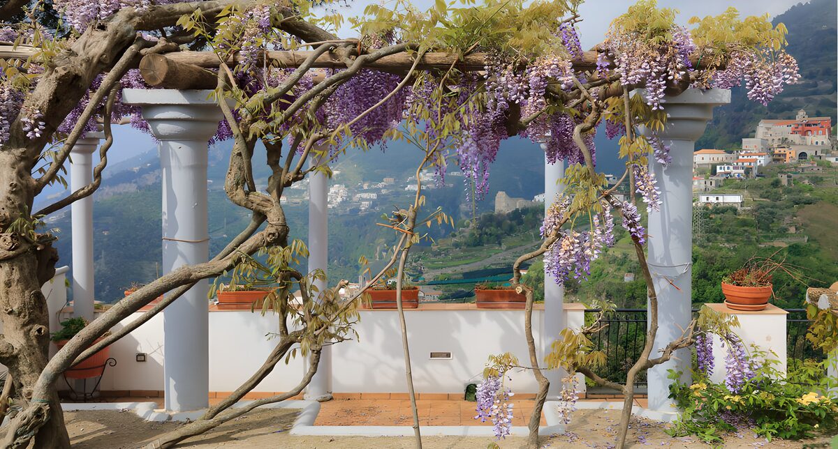 TP37285: Prachtige bloeiende pergola met uitzicht