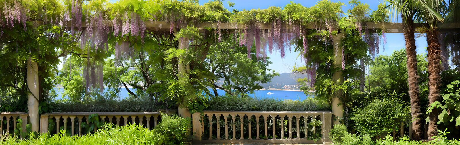 TP43927: Bloeiende Wisteria met Zeezicht