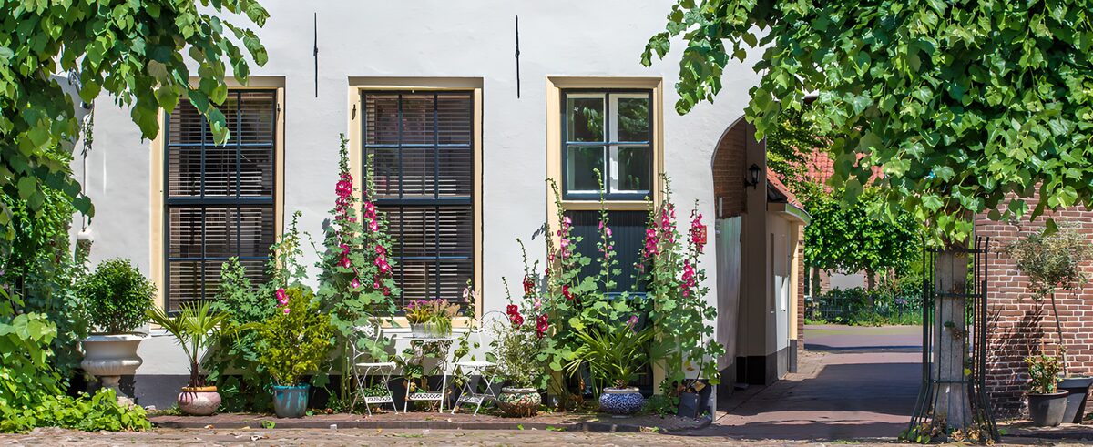 TP87916: Bloeiende Binnenplaats in de Zomer