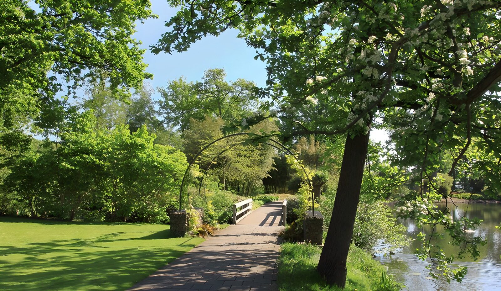 TP80720: Wandelpad met bruggetje bij vijver
