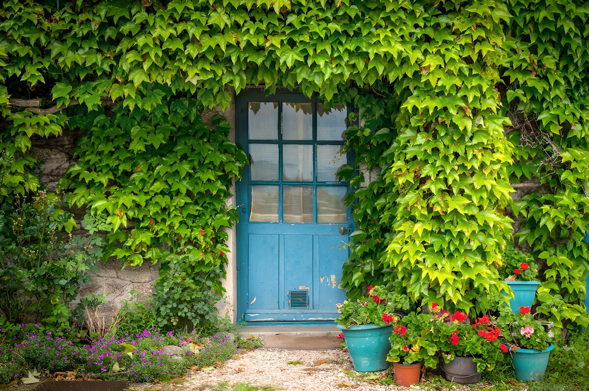 Groene Deur omringd door Natuur