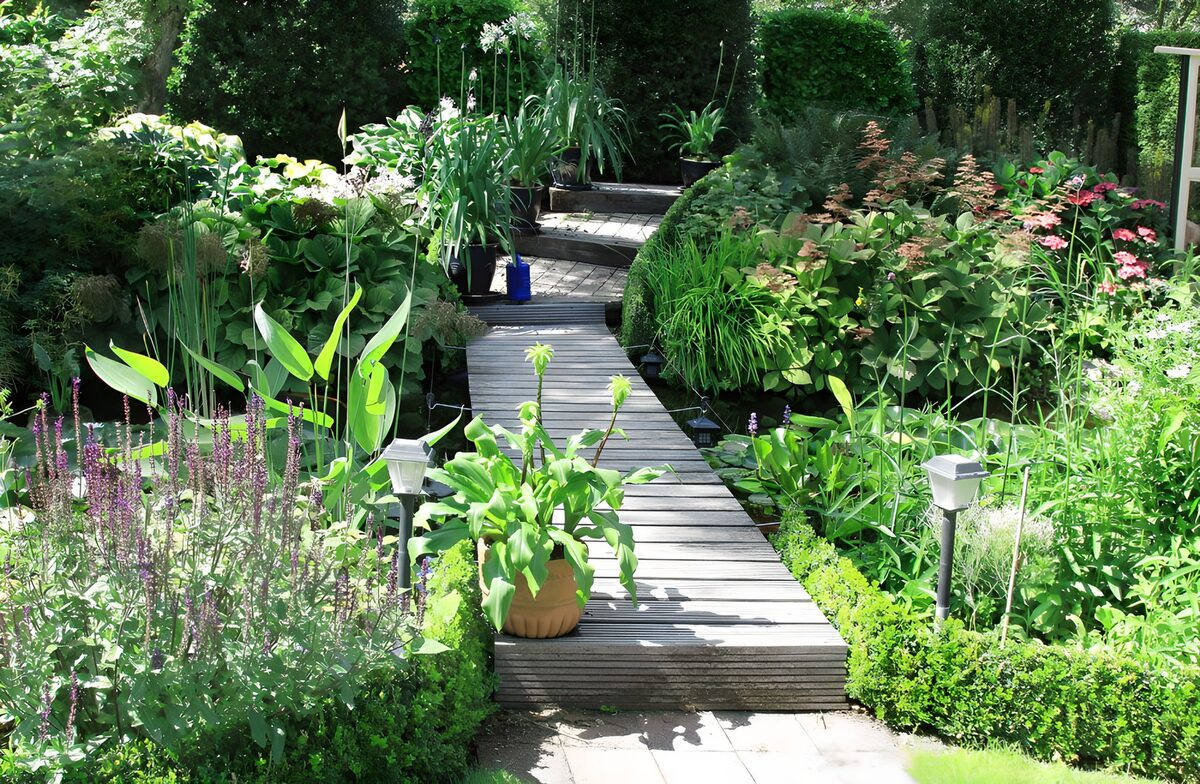 Houten loopplank voor vijver in een botanische tuin