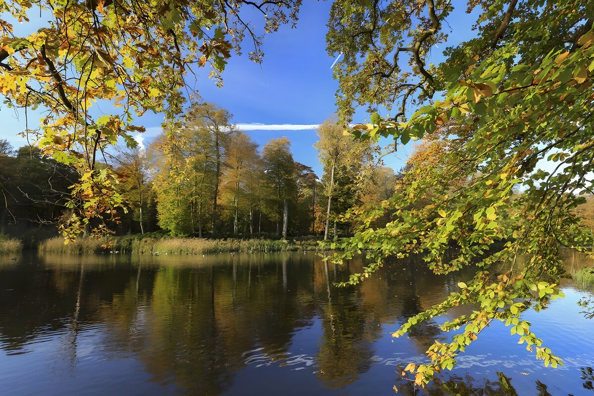 Vijver bij Kasteel Broekhuizen in Leersum