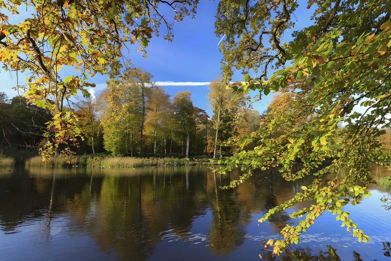 TP14153: Vijver bij Kasteel Broekhuizen in Leersum