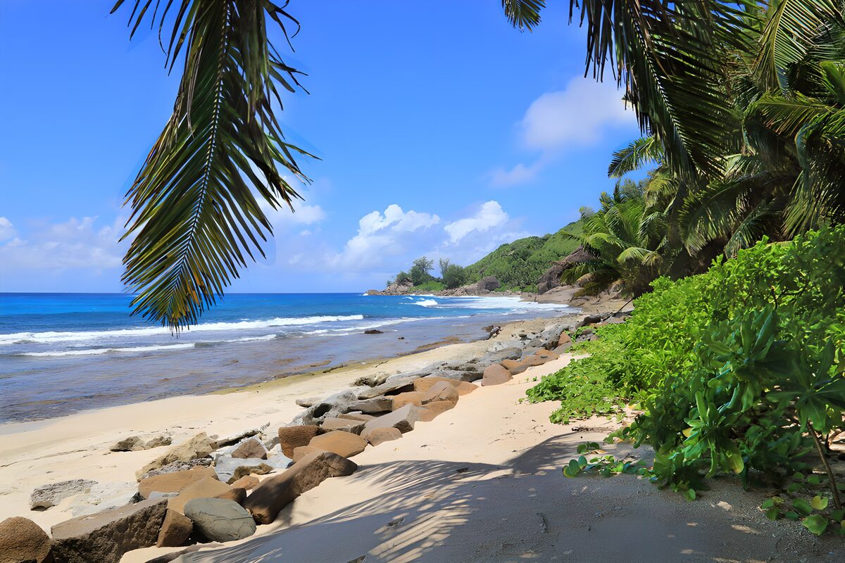 TP24568: Tropisch Strand met Palmbomen