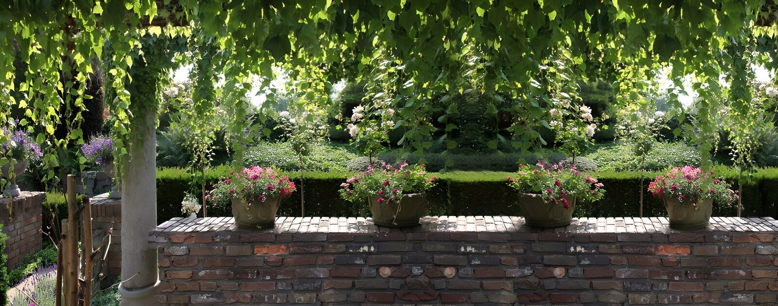 TP84688: Prachtige tuin met bloempotten en klimop