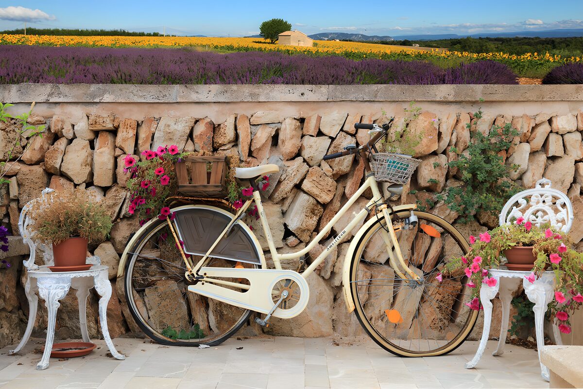 TP52087: Fiets in een bloeiende tuin
