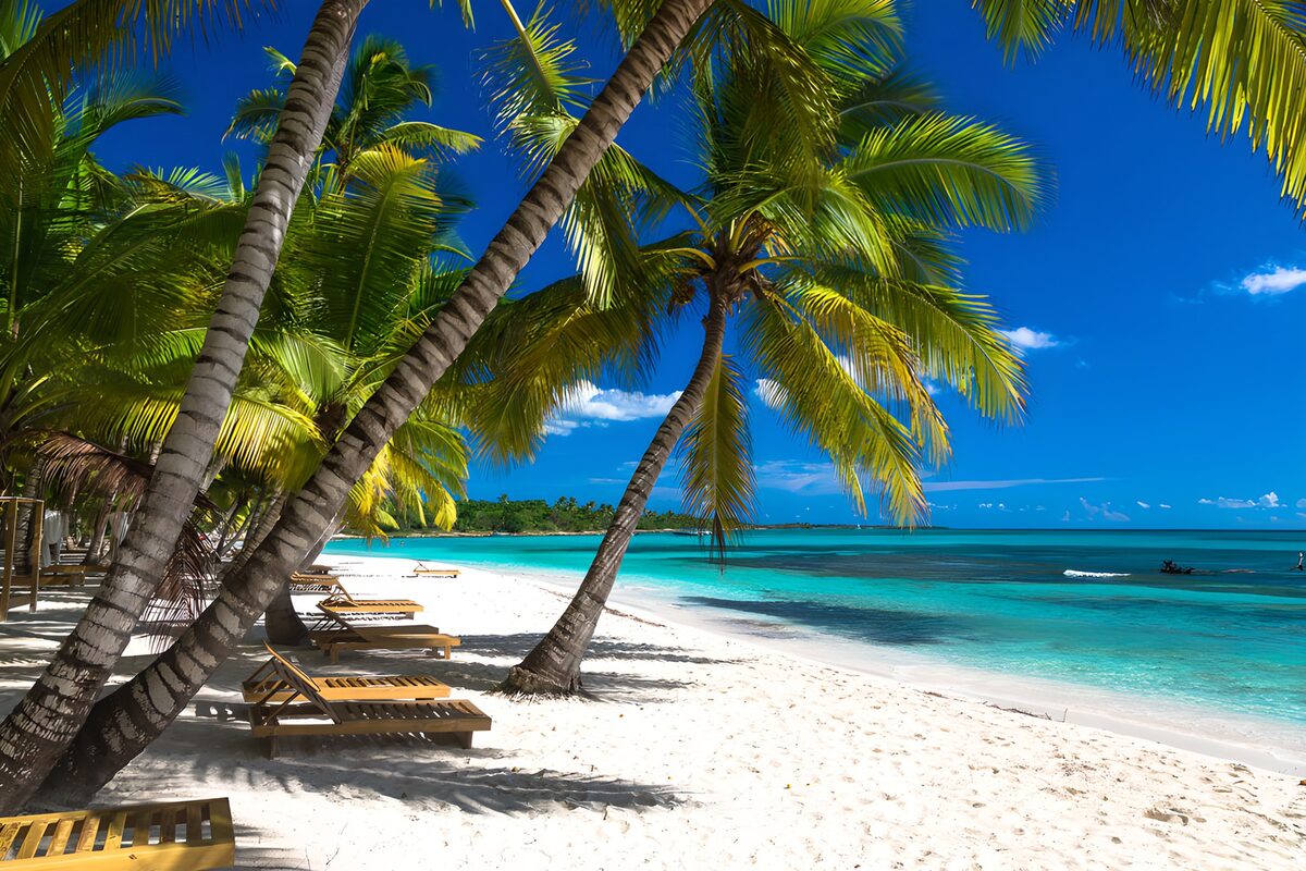 TP15801: Tropisch strand met palmbomen