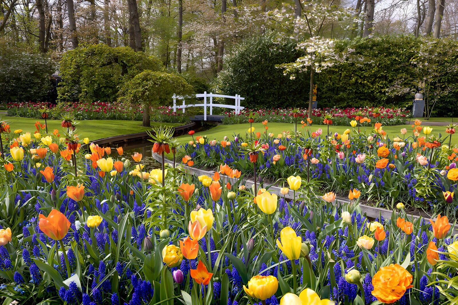 TP58247: Kleurrijke Lente in de Tulpentuin