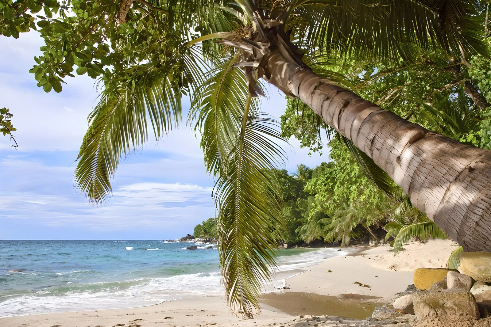 TP89609: Tropisch strand met palmbomen